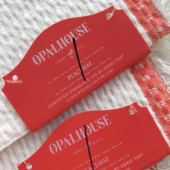 Opalhouse | 4 Waffle Texture Placemats - Picture 6 of 7